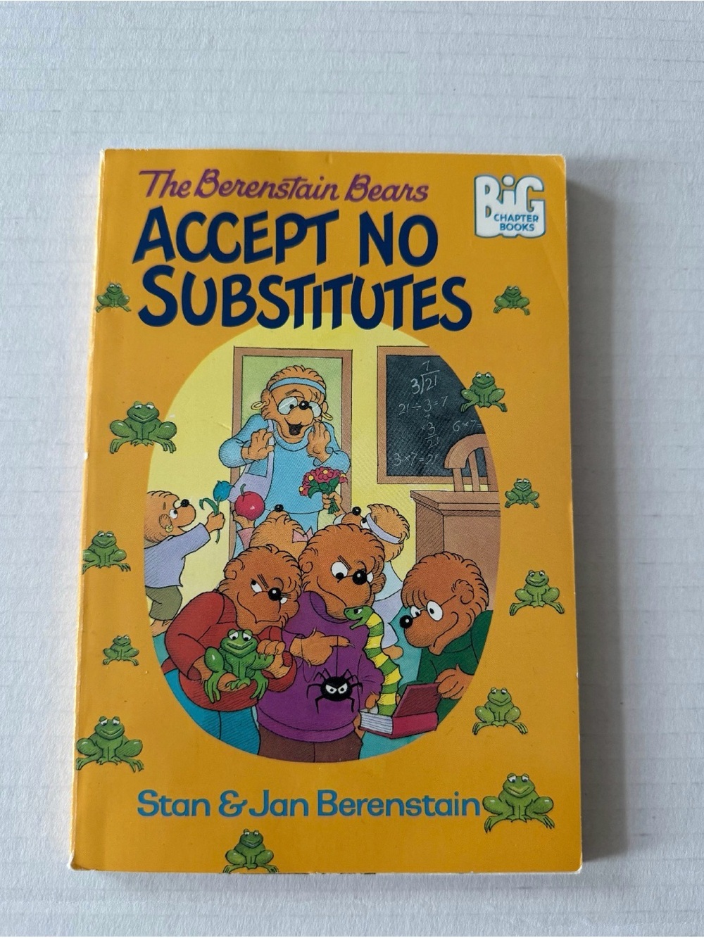 Vintage The Berenstain Bears Accept No Substitutes Chapter Book
